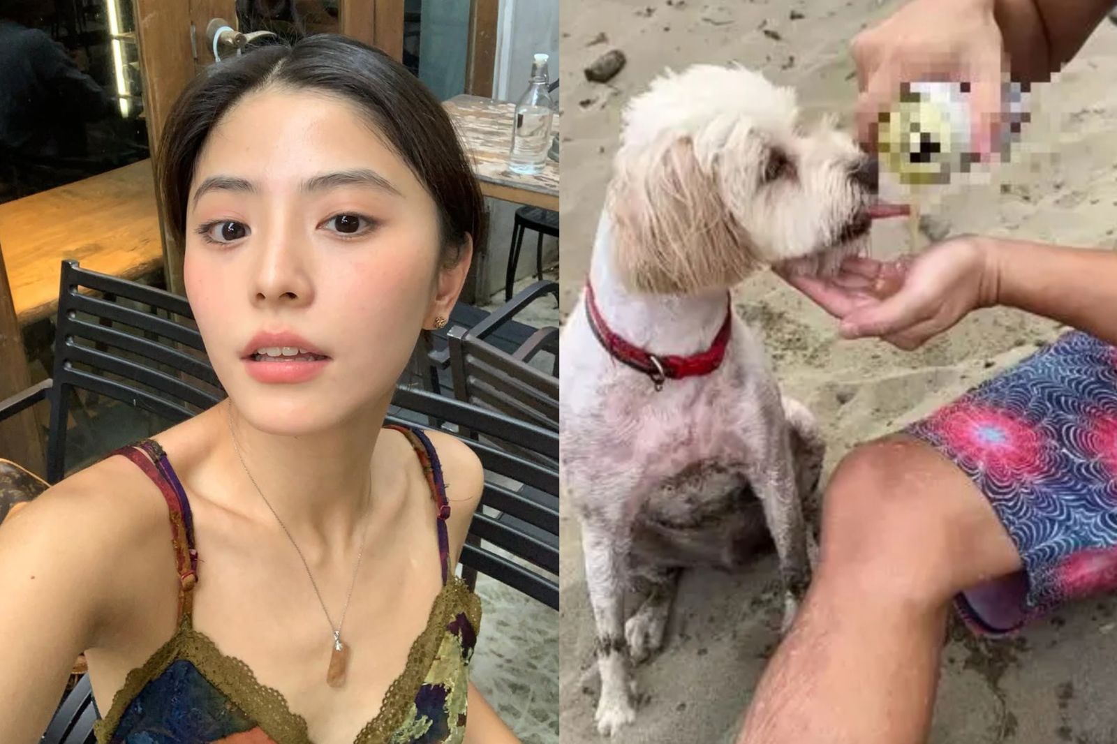 網紅若盈「餵狗喝酒」遭全網痛批!怒轟涉虐:嚴重會致命