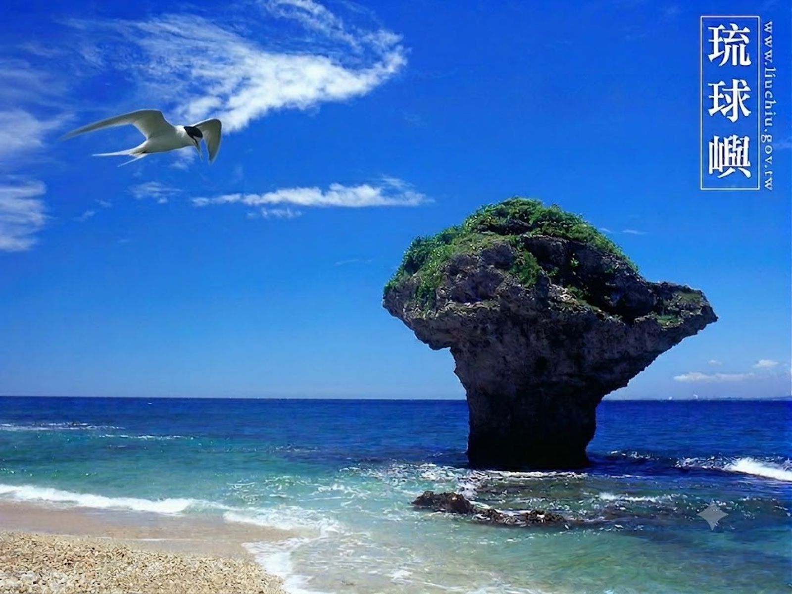 無人機剛起飛就被海鳥擊落!BenQ小琉球送藥計畫屢遭意外 下一步跨海送血袋救命