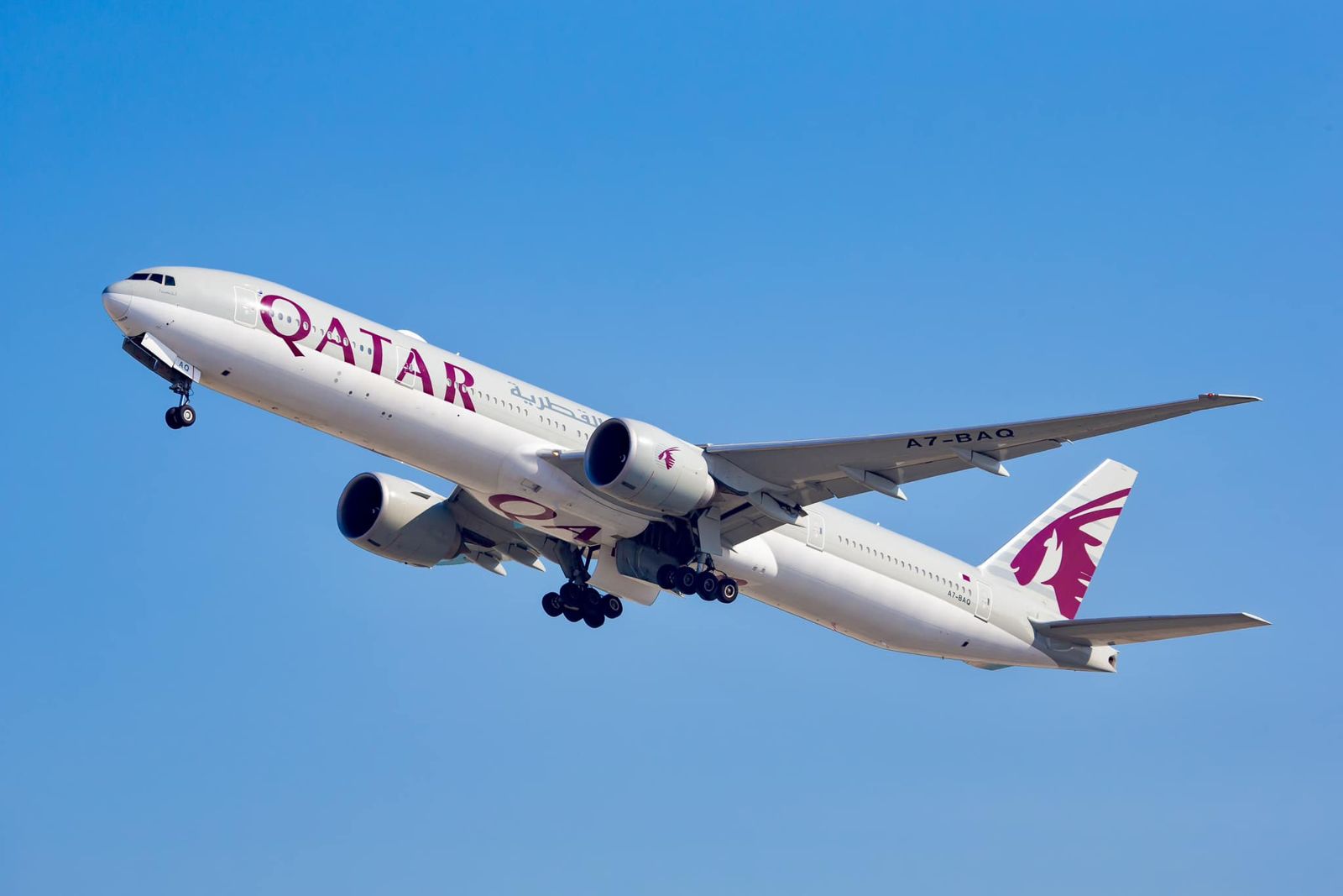 卡達航空。圖／翻攝自FB／Qatar Airways
