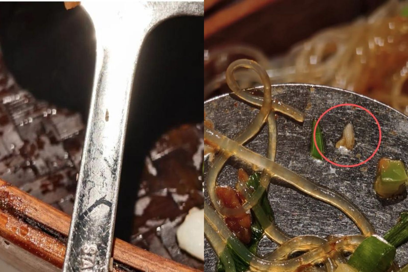 餐廳招牌菜全是活蛆!他「吃下肚才發現」崩潰:廚房有多髒