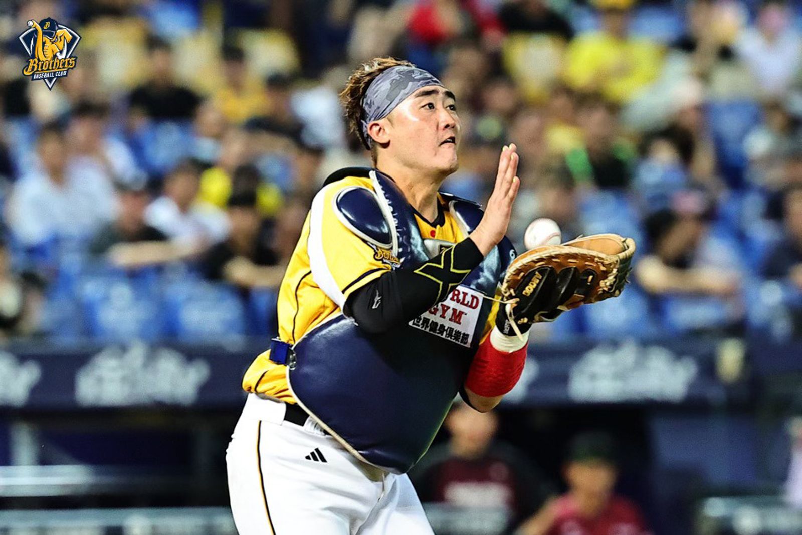 中職／兄弟捕手戰力吃緊　陣容深度面臨考驗