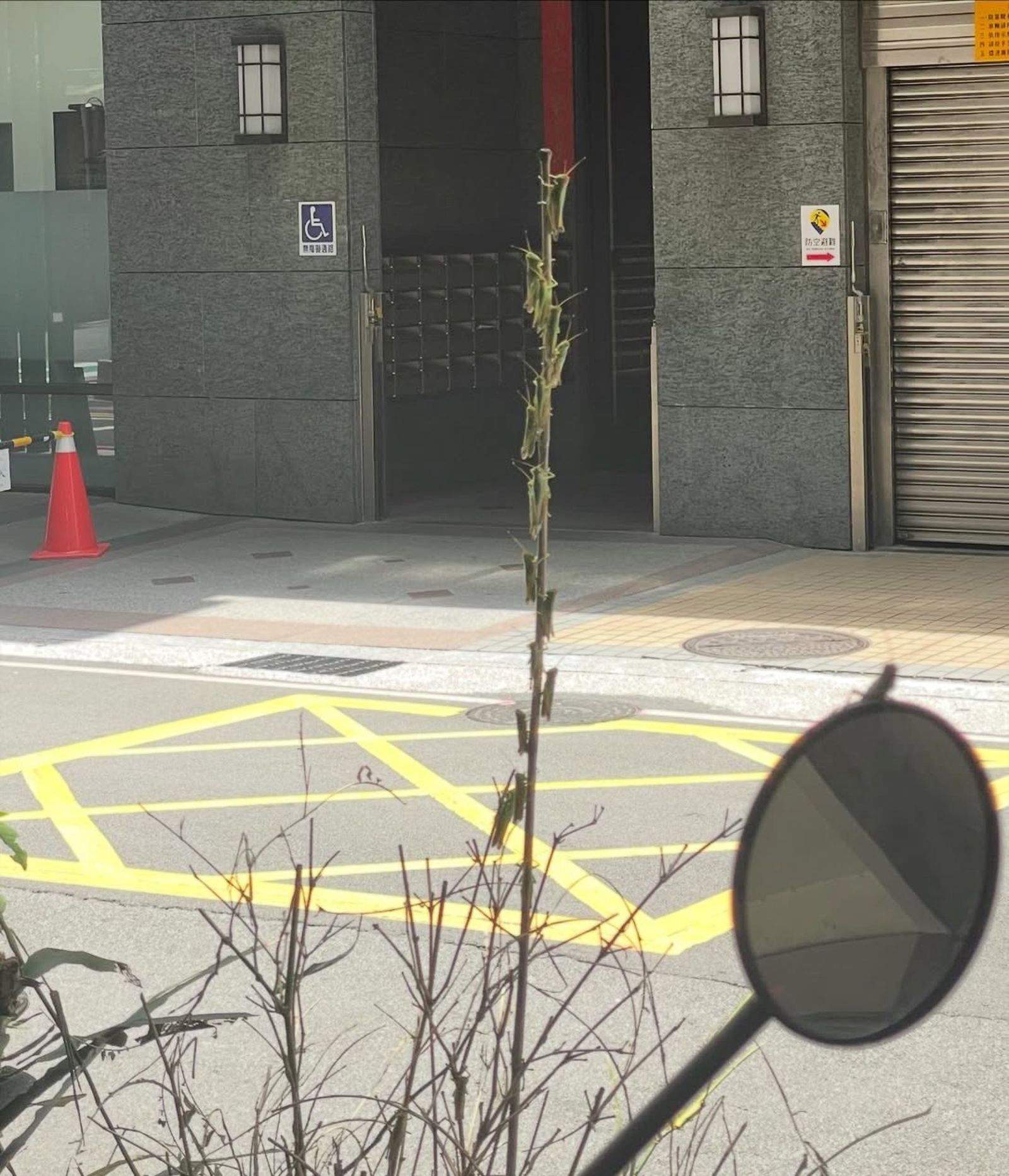 圖／翻攝自FB／路上觀察學院