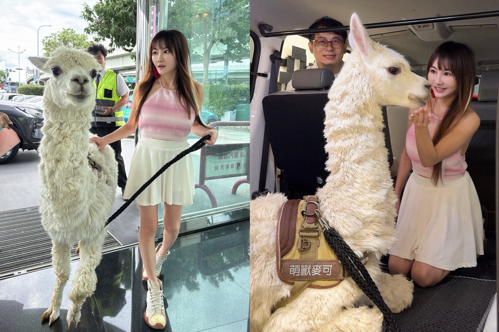 萌獸麥可換新車！十億女星王宥忻霸氣打造「移動小別墅」