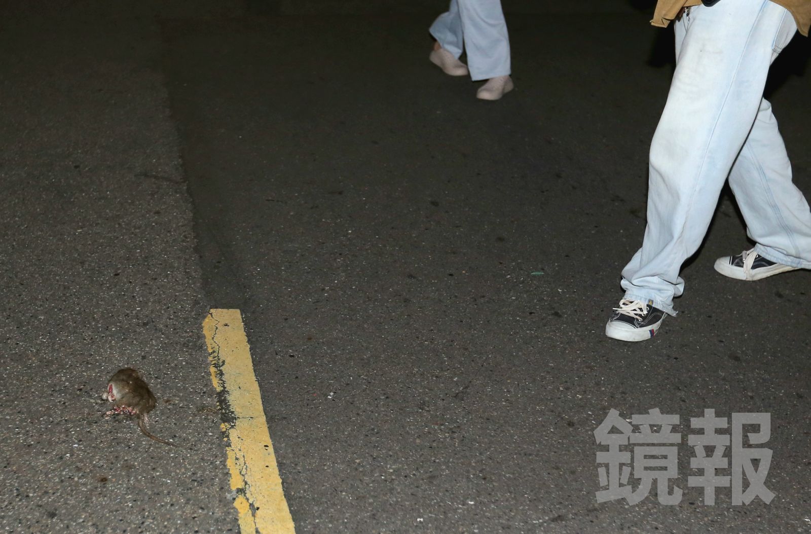 台北市長蔣萬安到場前,現場驚見老鼠,引發民眾尖叫閃避;活動散場後,一隻「在地鼠餅」則為晚會活動畫下句點。攝影姜永年