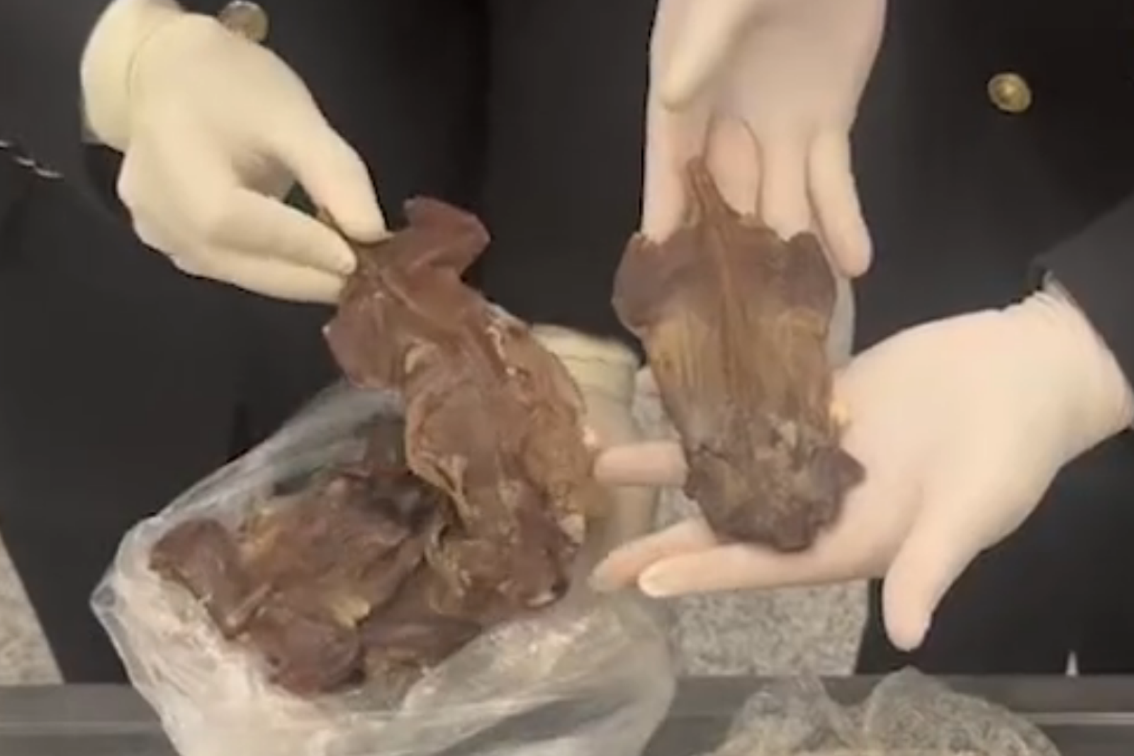 海關驚見行李藏「老鼠肉乾、醬湯泡螞蟻卵」！旅客：自己要吃　全網嚇傻
