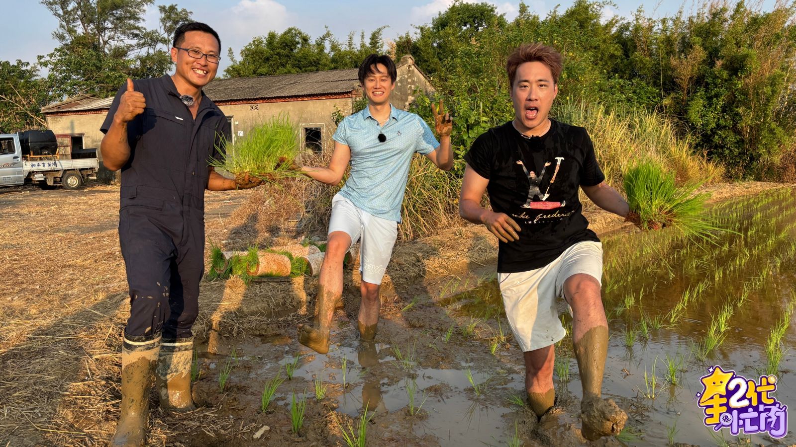 一行人挑戰彎腰插秧。星二代很忙內提供