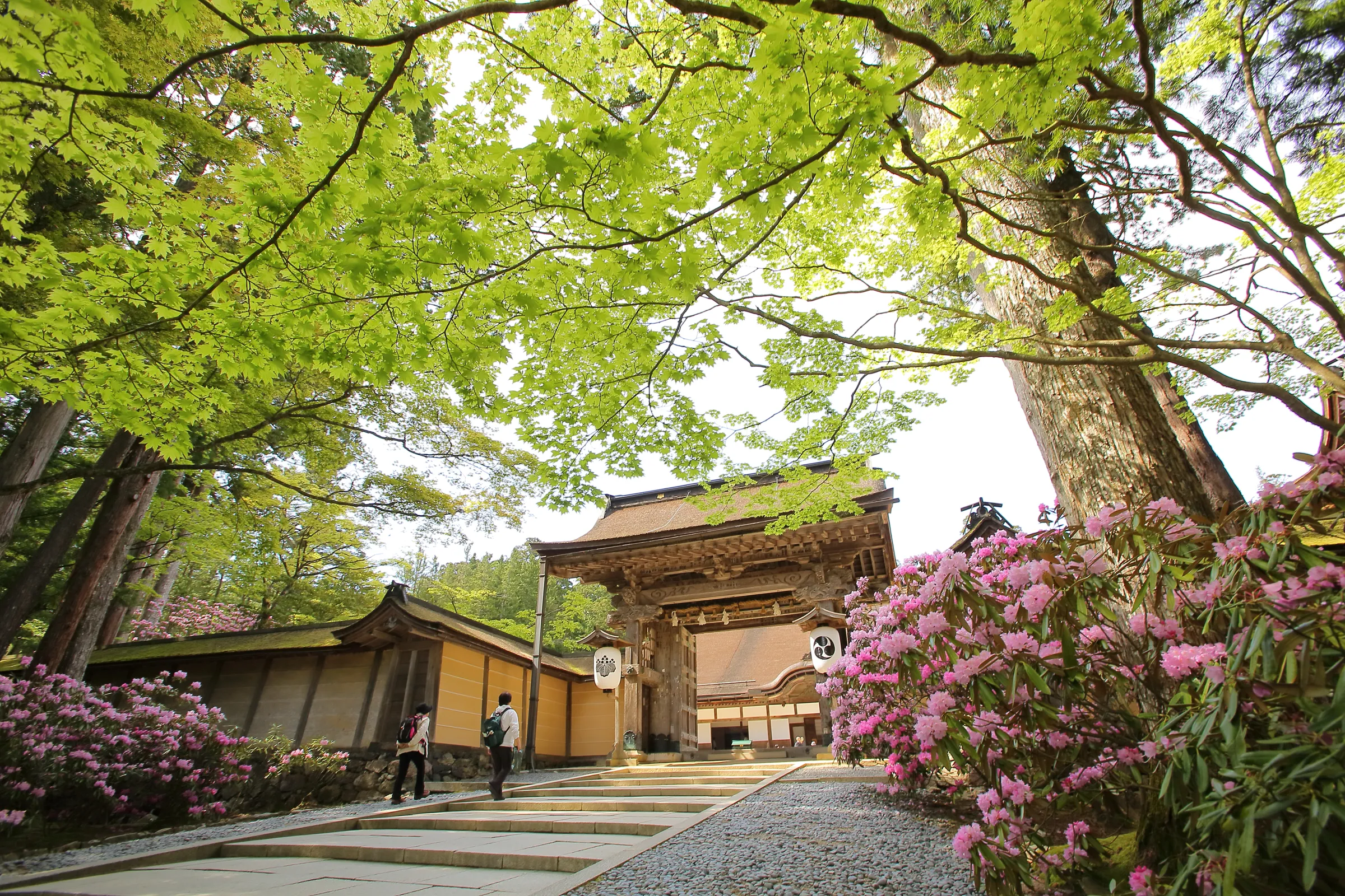 日本與泰國歷史的巧合──「本能寺之變」與「吞武里之變」