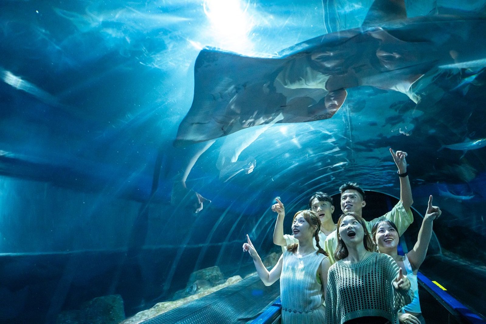 光復節連假限定！花蓮海洋公園憑在地發票7折入園爽玩一整天