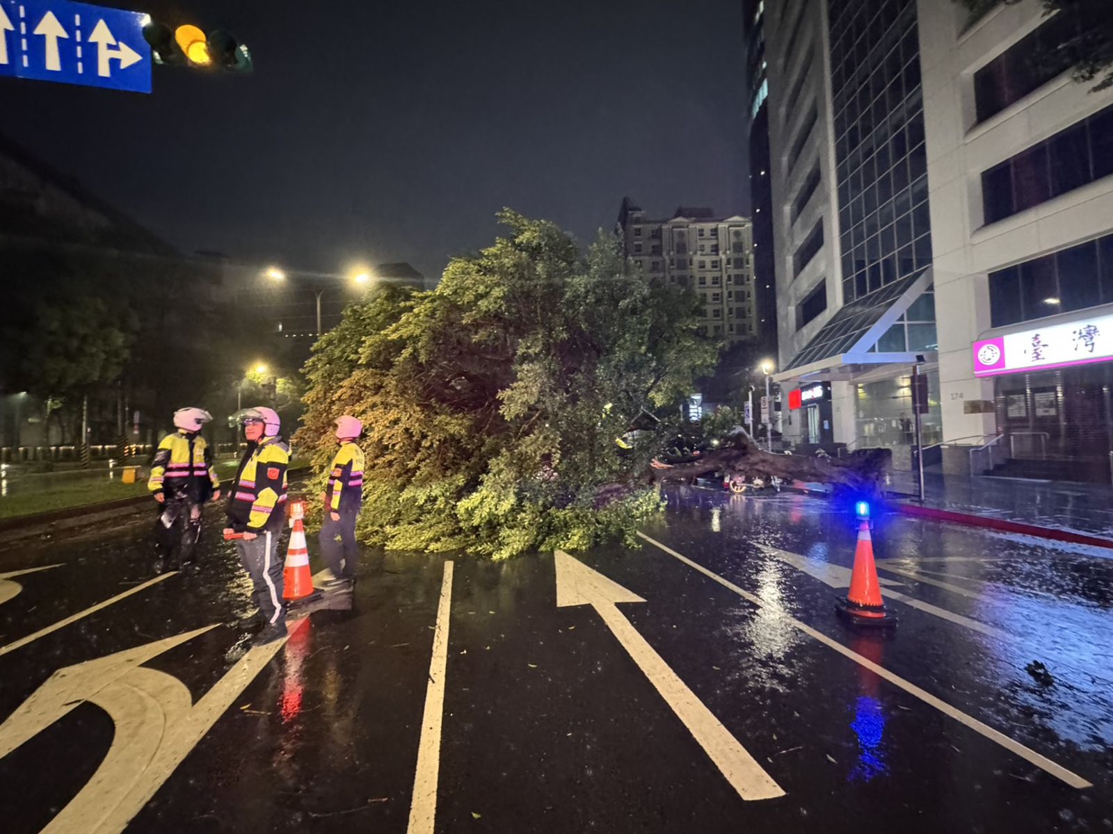 樹幹砸中一輛汽車。翻攝畫面