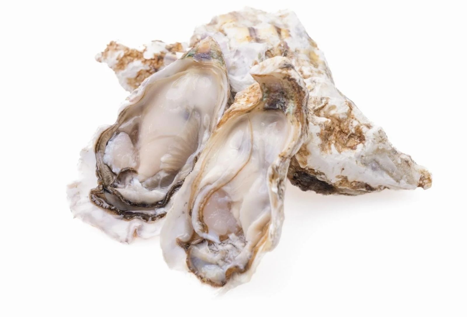 冬天生蠔最肥美！食藥署提醒恐藏「諾羅病毒」：安心享用4重點