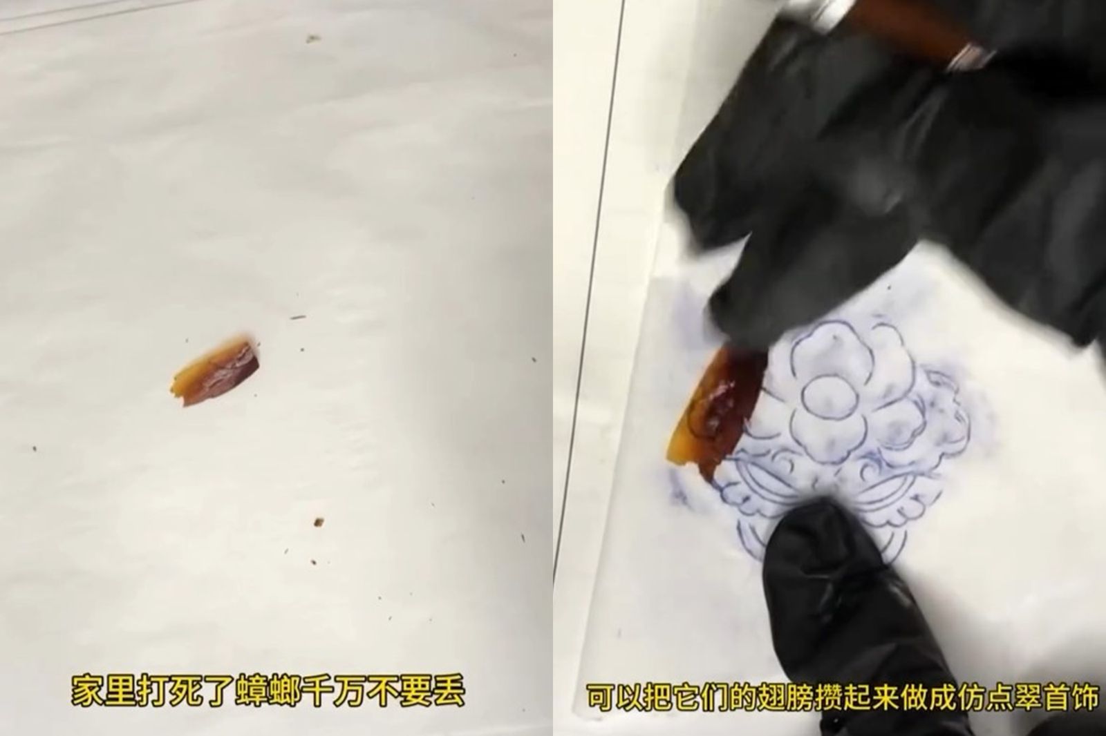 網友利用蟑螂翅膀製作仿點翠頭飾。圖/翻攝自Threads