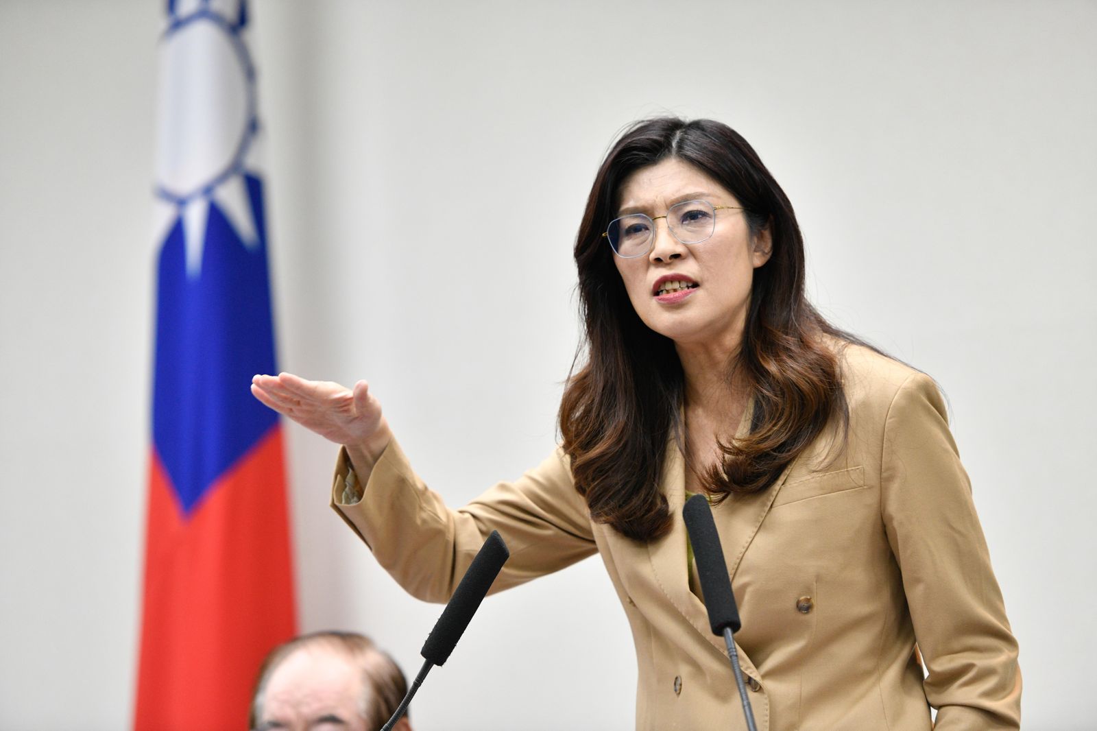 賴清德控在野獨裁　鄭麗文反批：民進黨以行政意志掐死多數民意