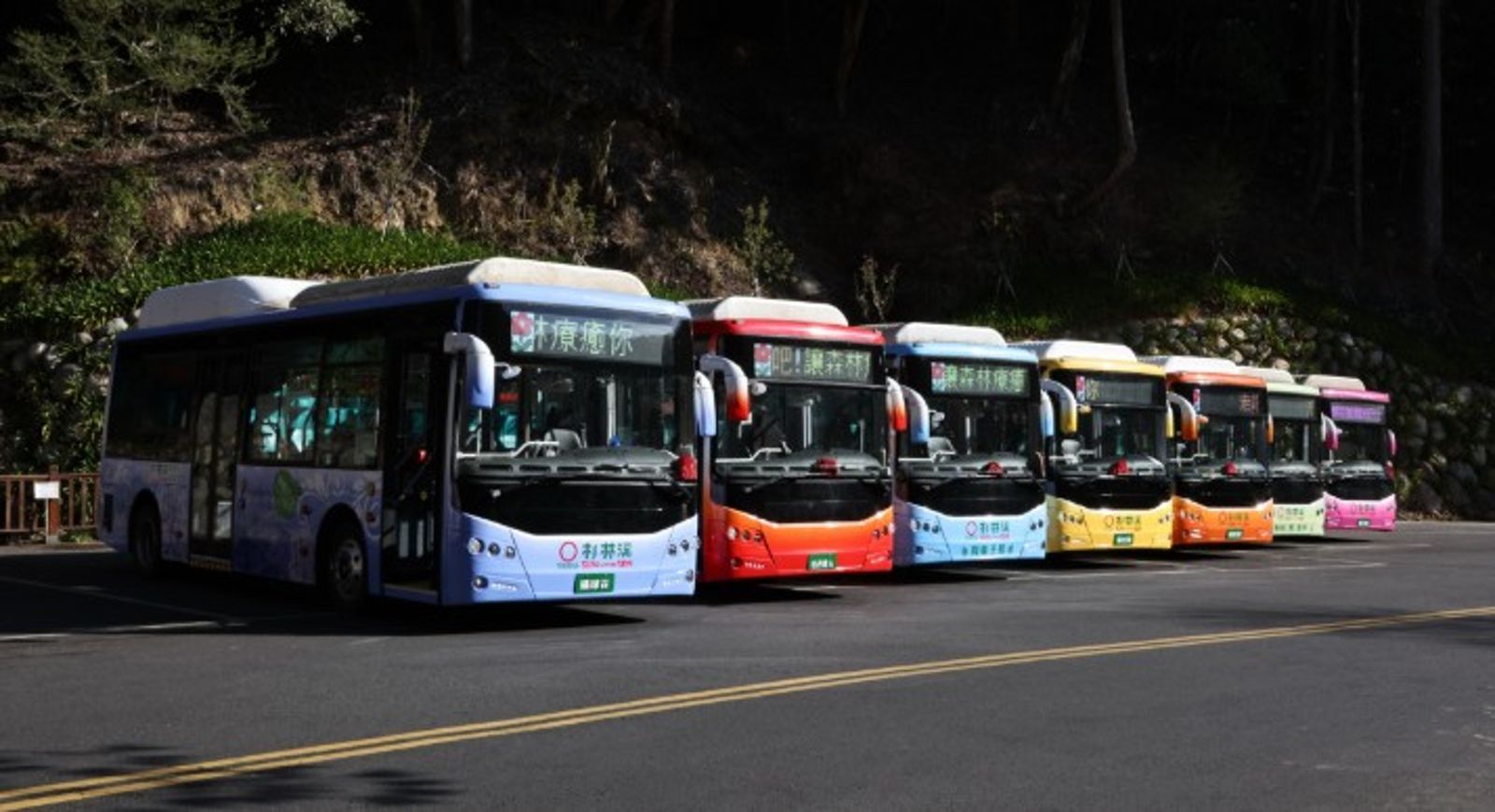 杉林溪櫻花巔峰期超吸客!電動巴士助遊客腳力 遊客驚呼:還好未釀成火燒車