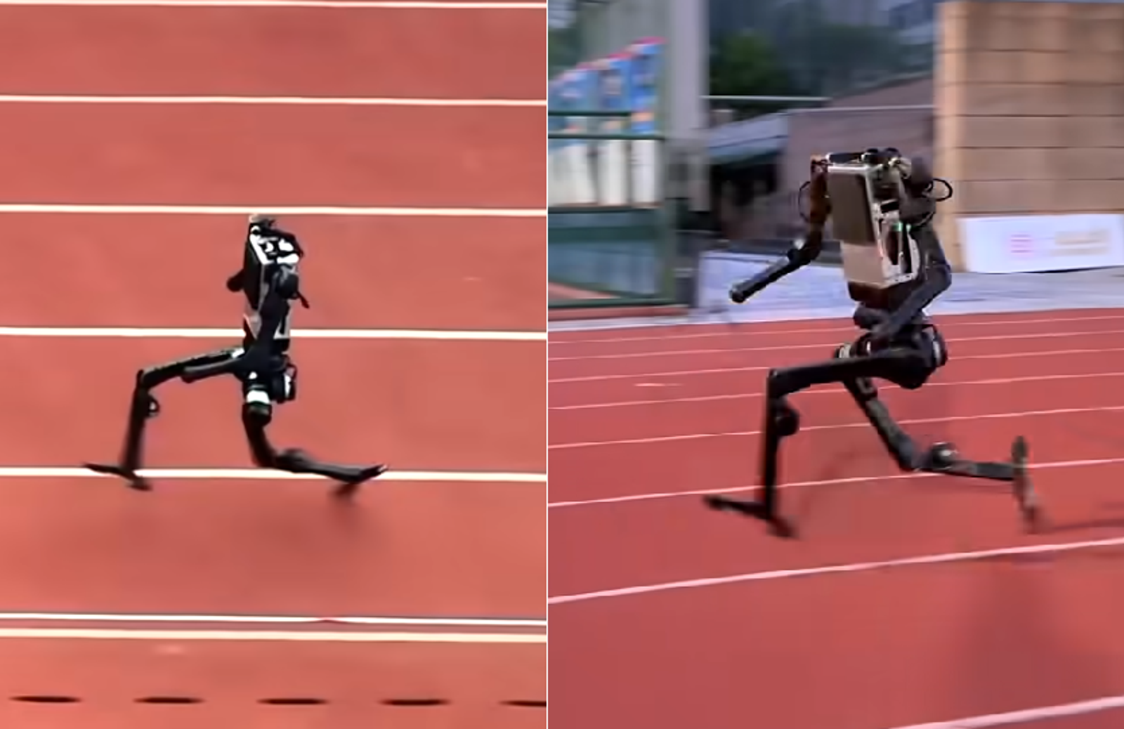 直逼人類極限！中國機器人跑出每秒10公尺成績刷新全球紀錄　網擔憂「可怕」