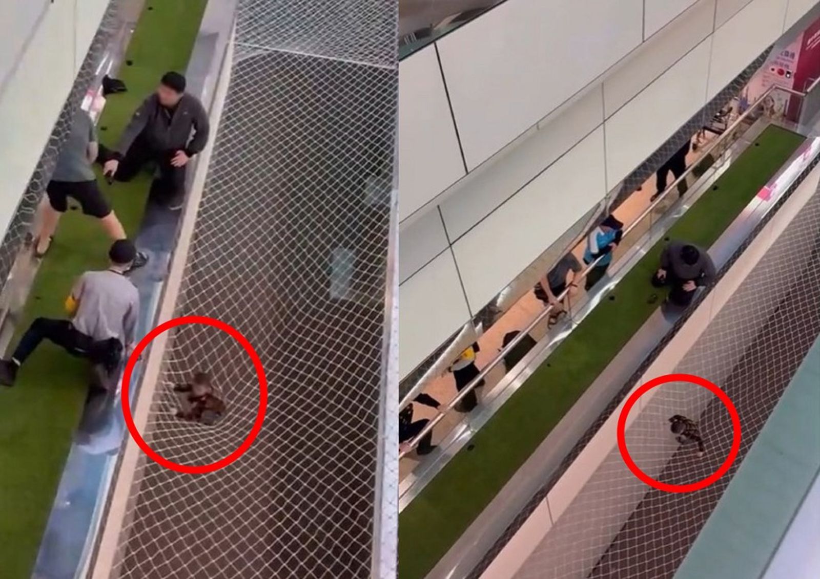 垃圾桶當助跑器！桃機二航廈7歲外籍童「飛天」躍進防墜網　網友酸：爸媽是在夢遊？