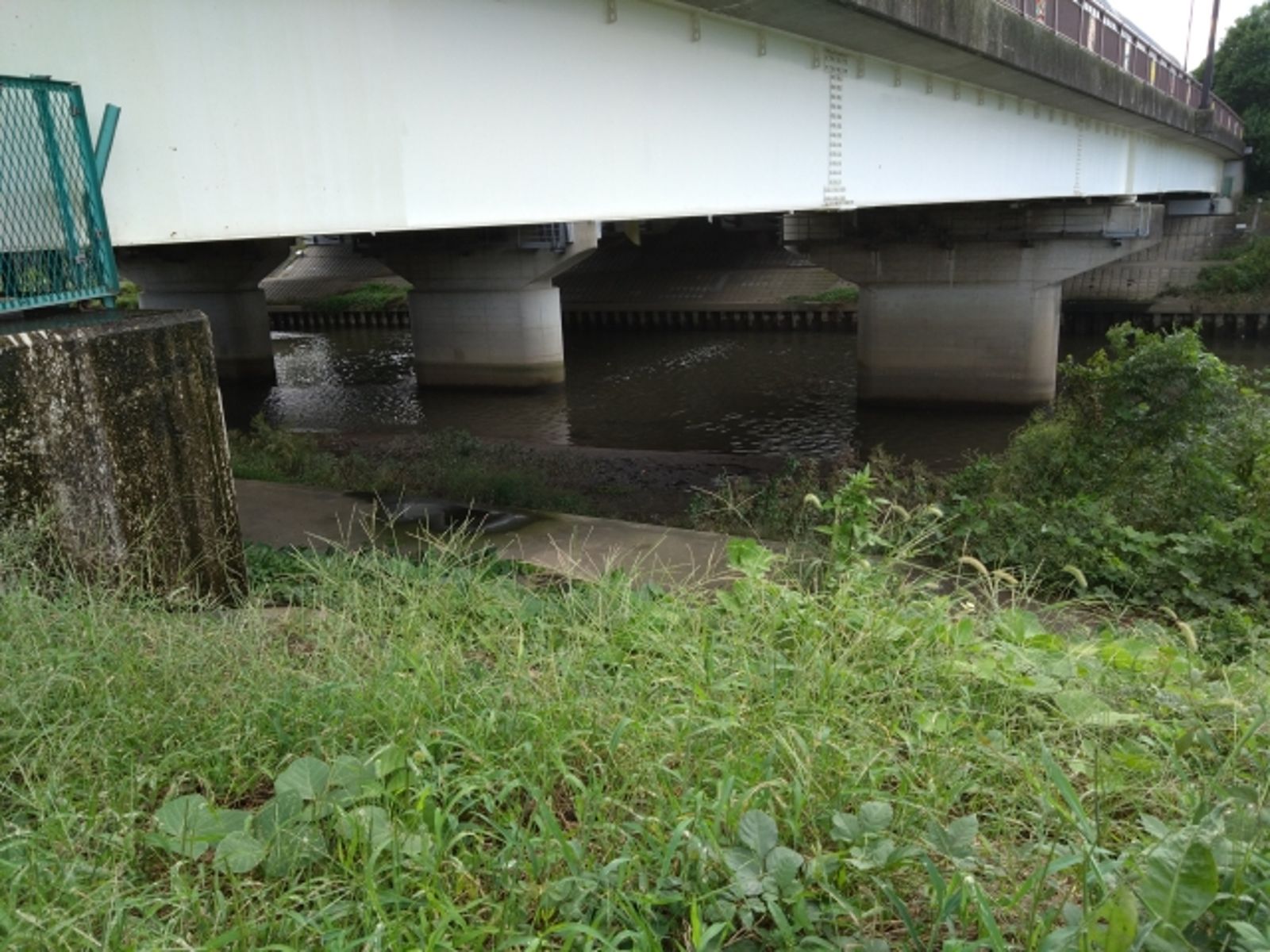 空姐請假開刀失蹤3個月！因兇手「屁股誤觸」　成謀殺案關鍵證據
