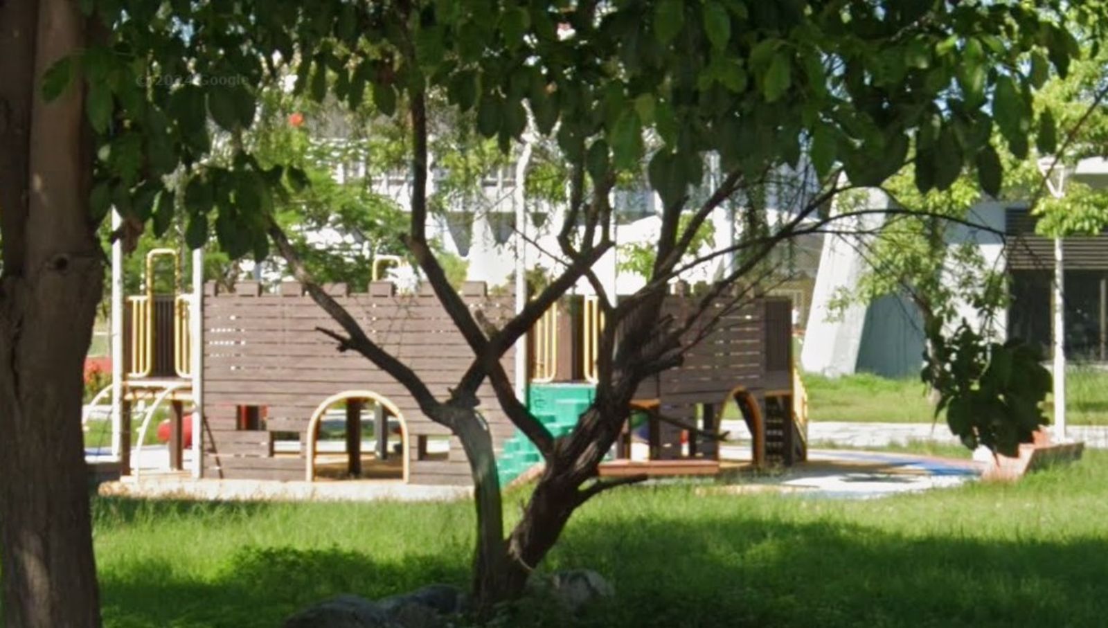 帶孩子玩耍撞見活春宮！72歲翁與67歲婦「脫褲互摸騎上去」…家長嚇爆報警