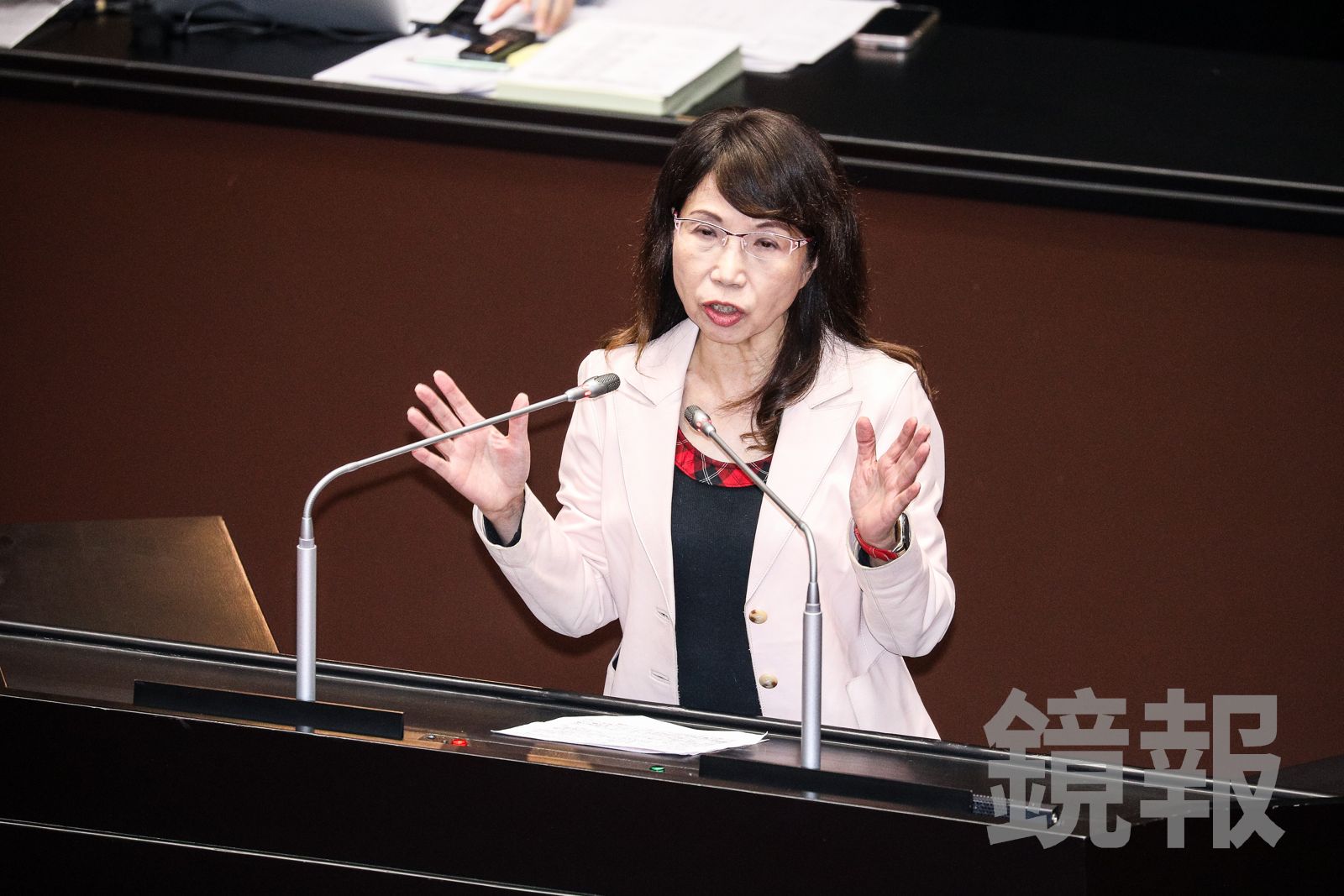院版《人工生殖法》脫鉤代理孕母　陳昭姿轟：為反對而反對