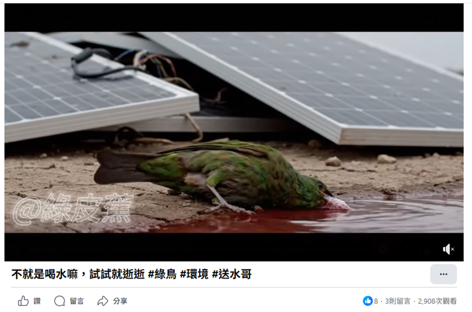 臉書仍有相關影片流傳。圖/臉書