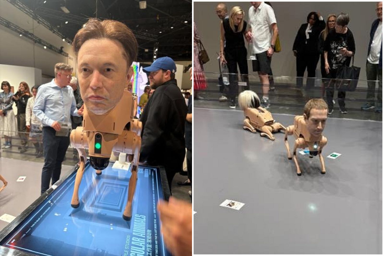41J肉聲／馬斯克、祖克伯等名人變「人彘機器狗」　詭異地上爬啊爬