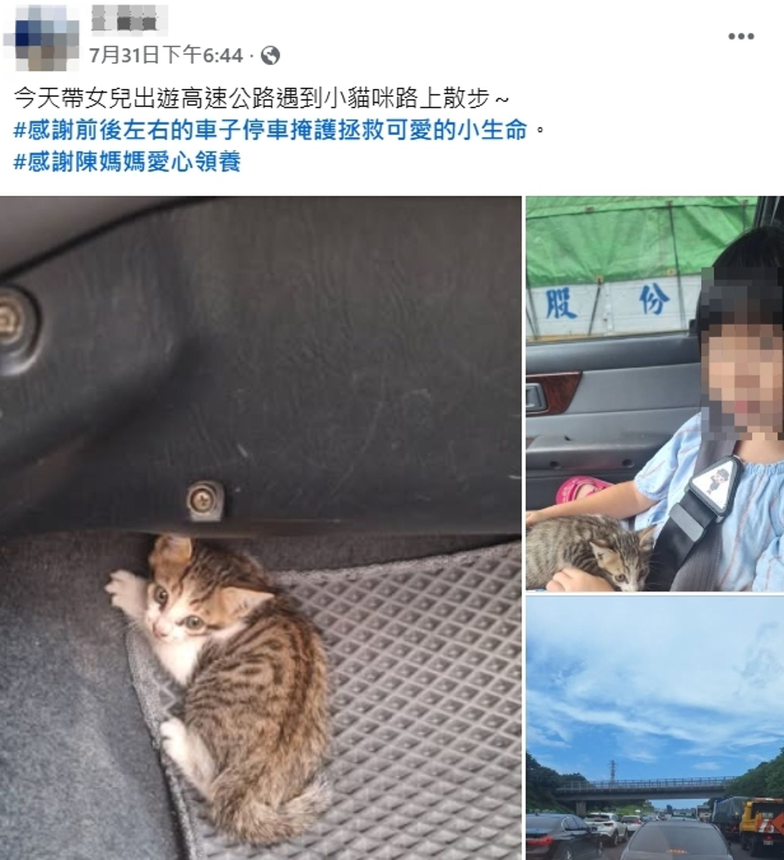 白衣大哥的救貓PO文也被挖出。圖／翻攝自當事人FB