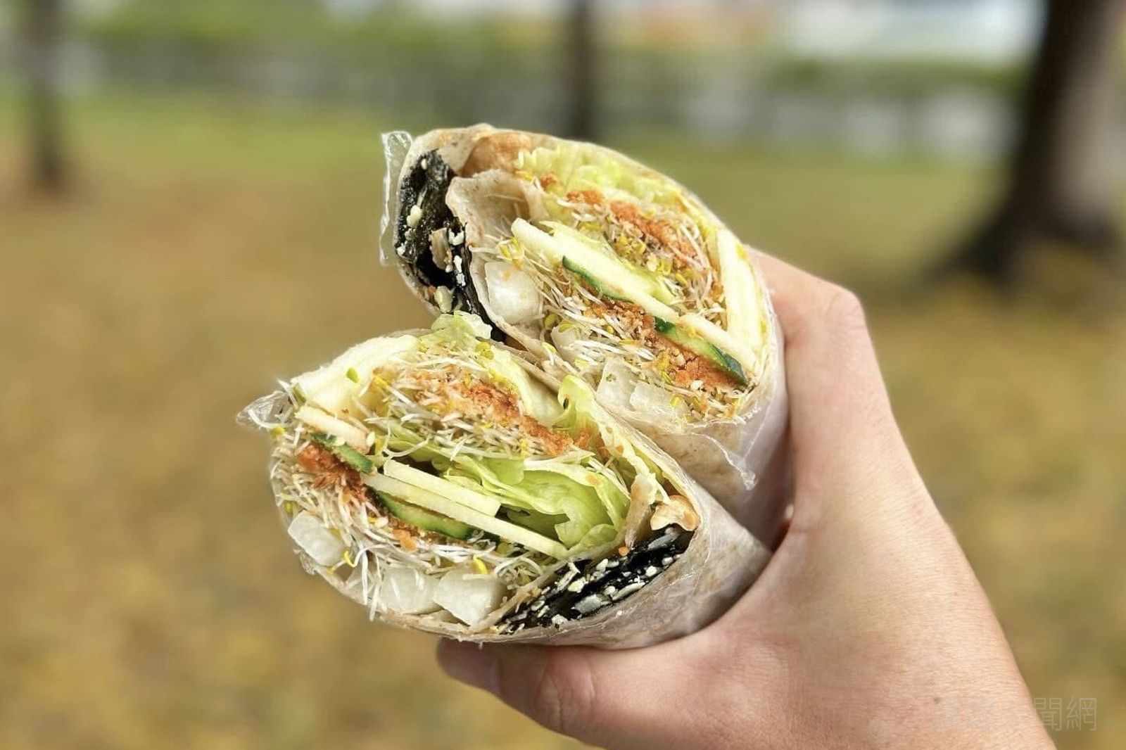 開胃握便當2／連肉控也回頭！芝山棧蔬菜捲餅清爽又有料