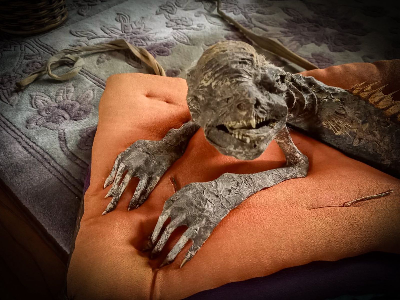 「禪林堂」書店發表「河童木乃伊」照片。圖/翻攝X@@tke17