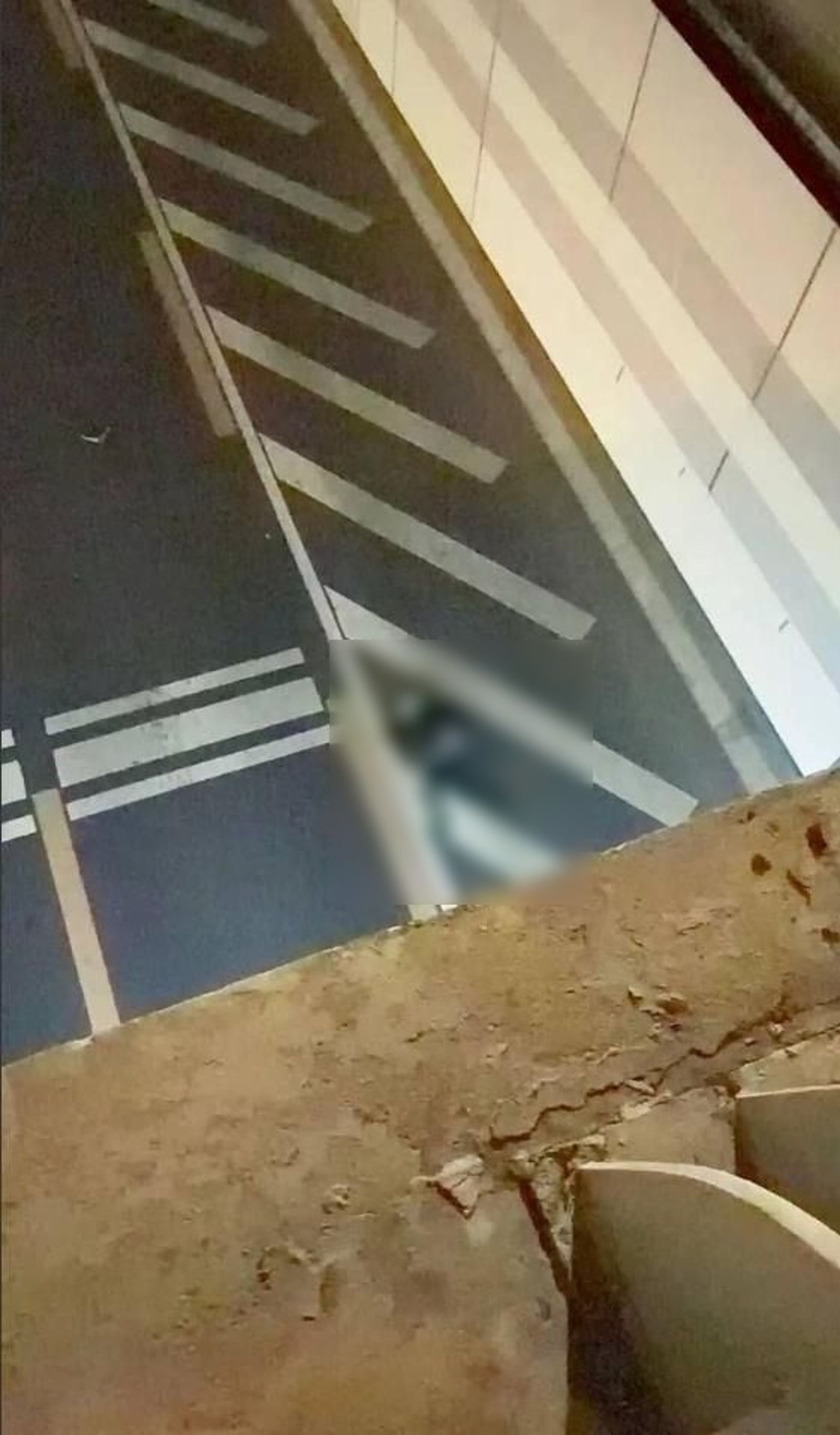 「克里斯汀小栗子」被飛拋重摔。圖／翻自discuss.com.hk