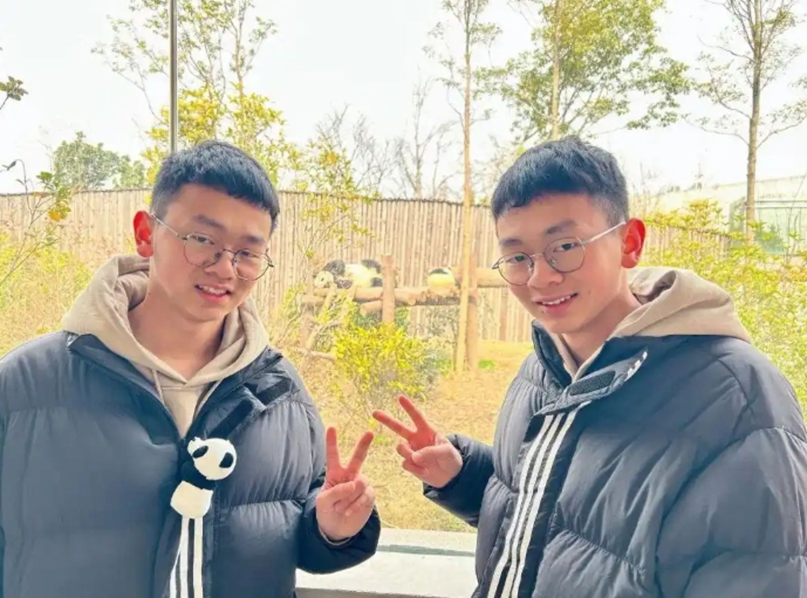 兩人從幼稚園到高中都讀同校,現在大學也要讀同校同科系了。圖/百度