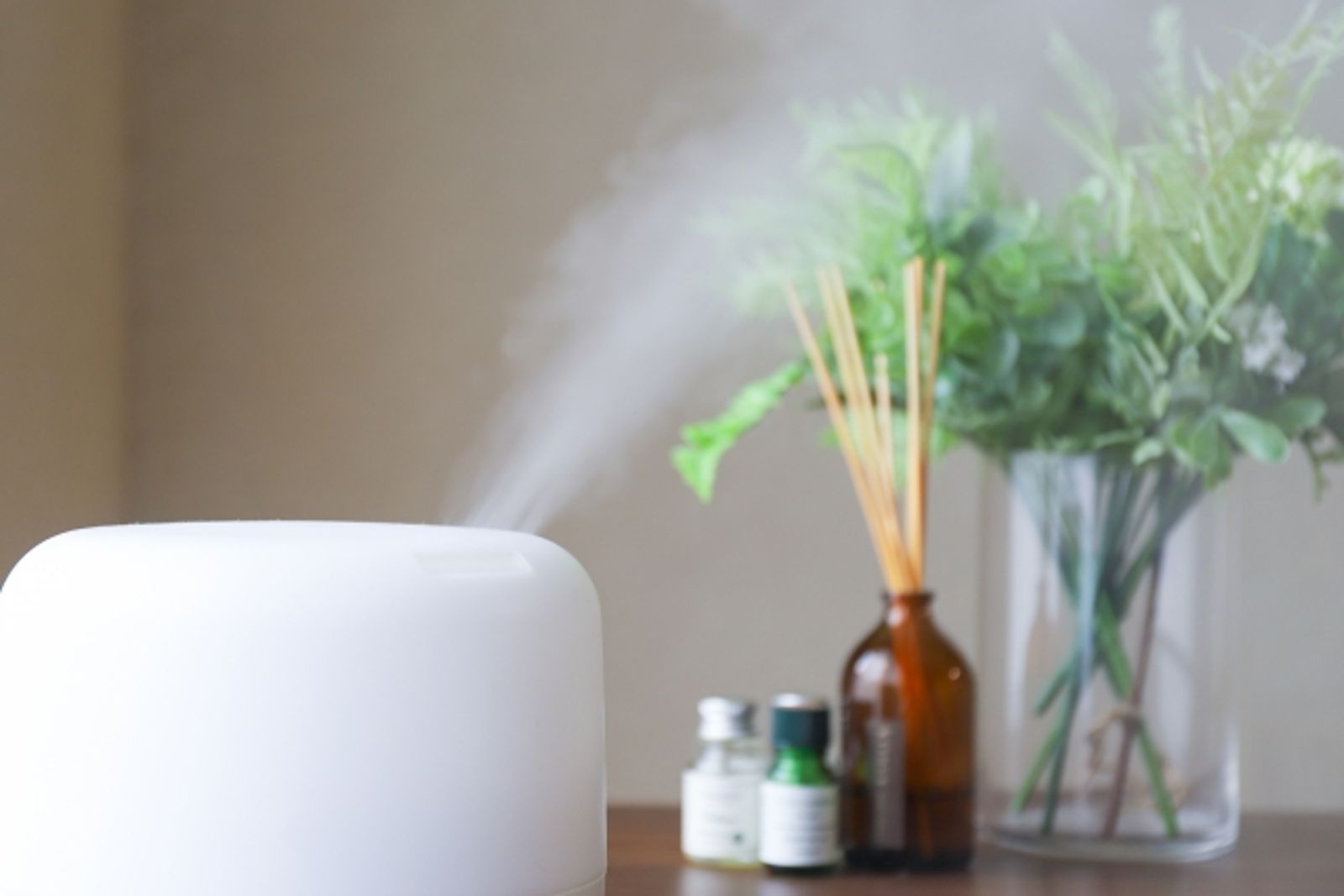加濕器一機多用?專家籲「別混精油」恐引呼吸系統疾病 自來水也中槍