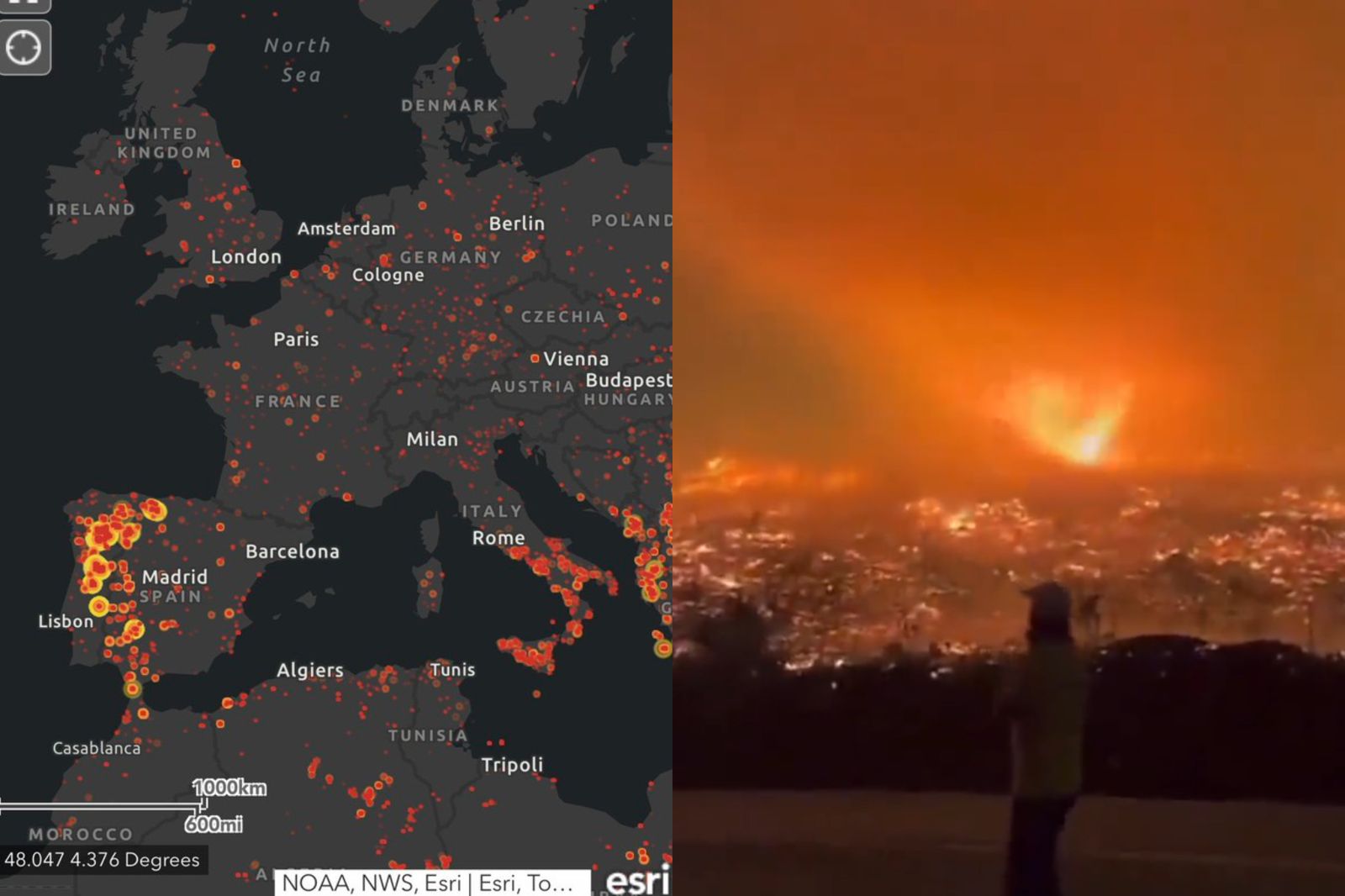 南歐野火失控！西葡逾30萬公頃成焦土、至少8人死亡　專家：20年最嚴重
