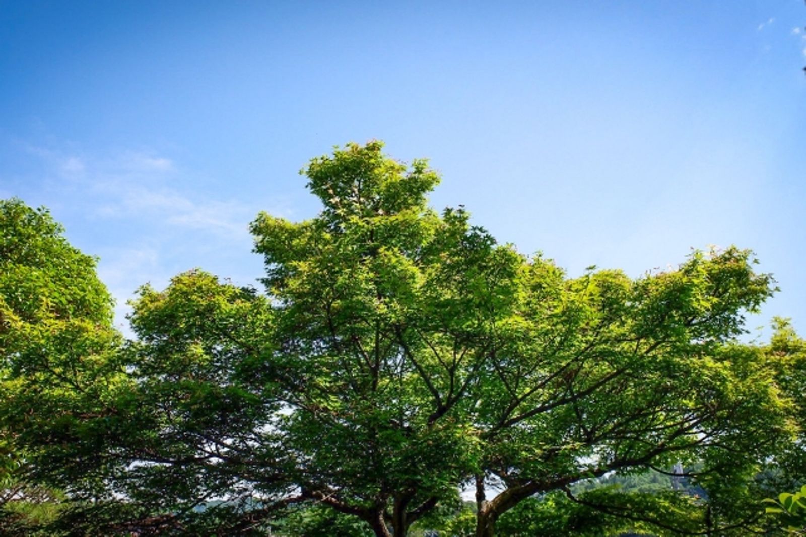 12星座「小滿」到情緒壓力爆棚！這樣做放鬆又補財