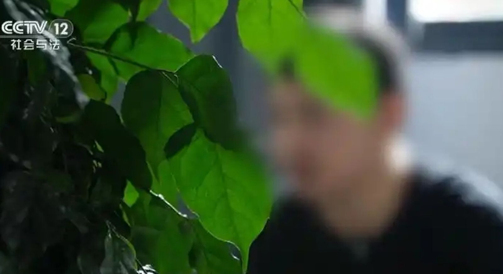 男子為了錢自願NTR「把女友介紹給叔叔談戀愛」　下場超悽慘