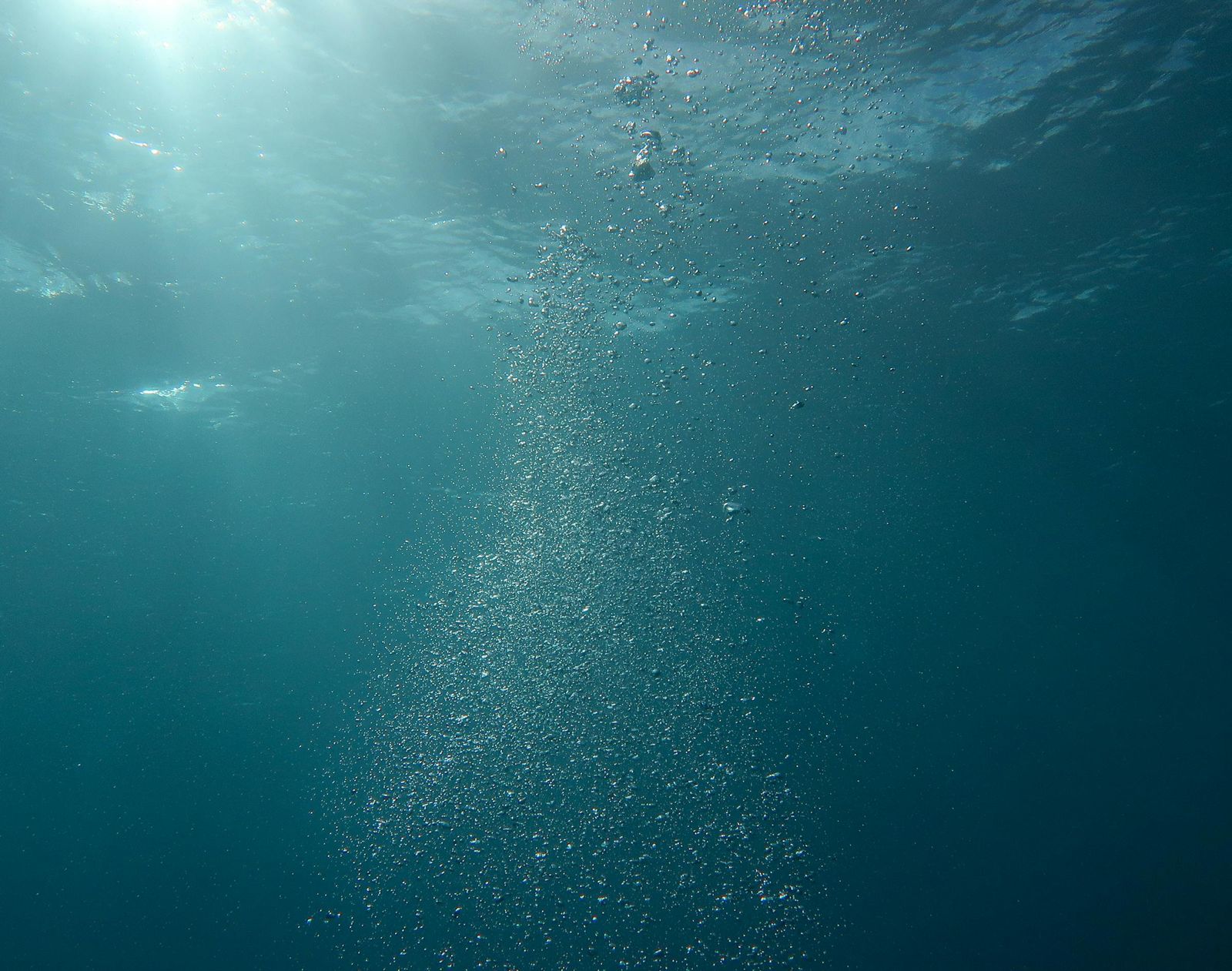 他「水下生活」93天竟逆轉衰老「年輕10歲」　專家揭背後原因