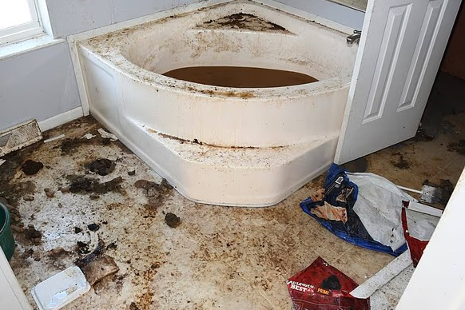 母1年拒接回家87次！14歲女童及7隻狗遭棄養　惡劣生活環境曝
