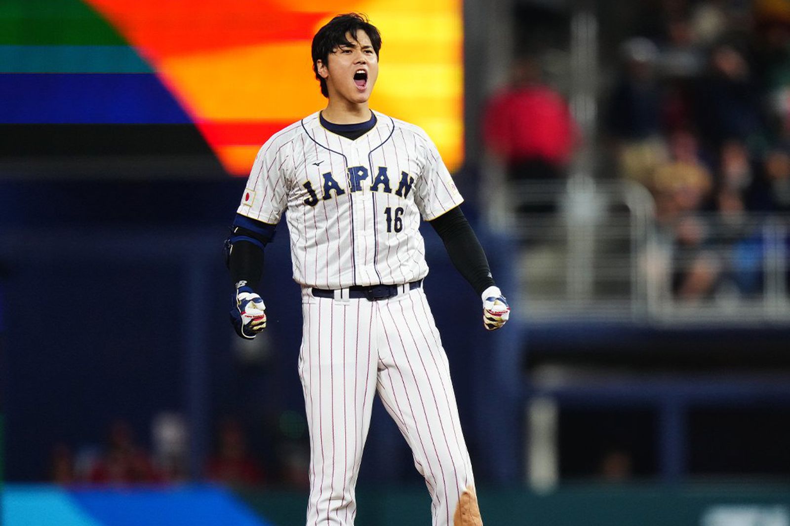 大谷翔平自曝沒關注日職　WBC成檢視日本「新世代」戰力舞台