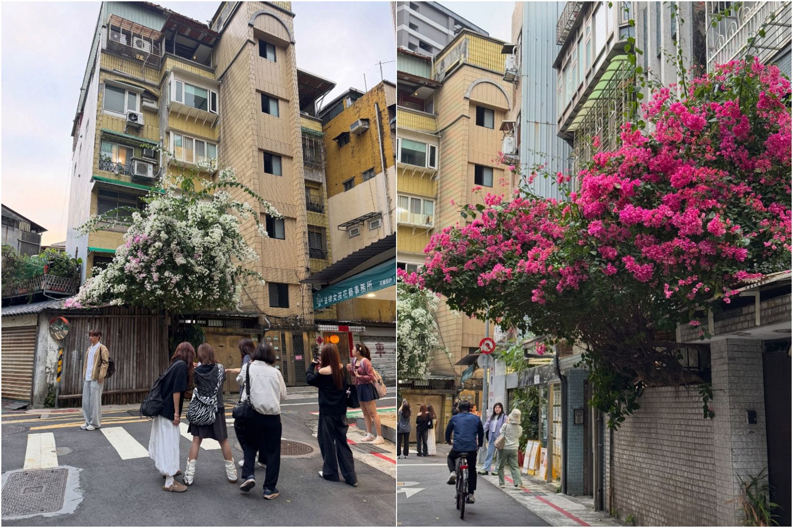 網友前往打卡拍照卻被對面店家收費。圖／翻攝自Treads@thehuyth