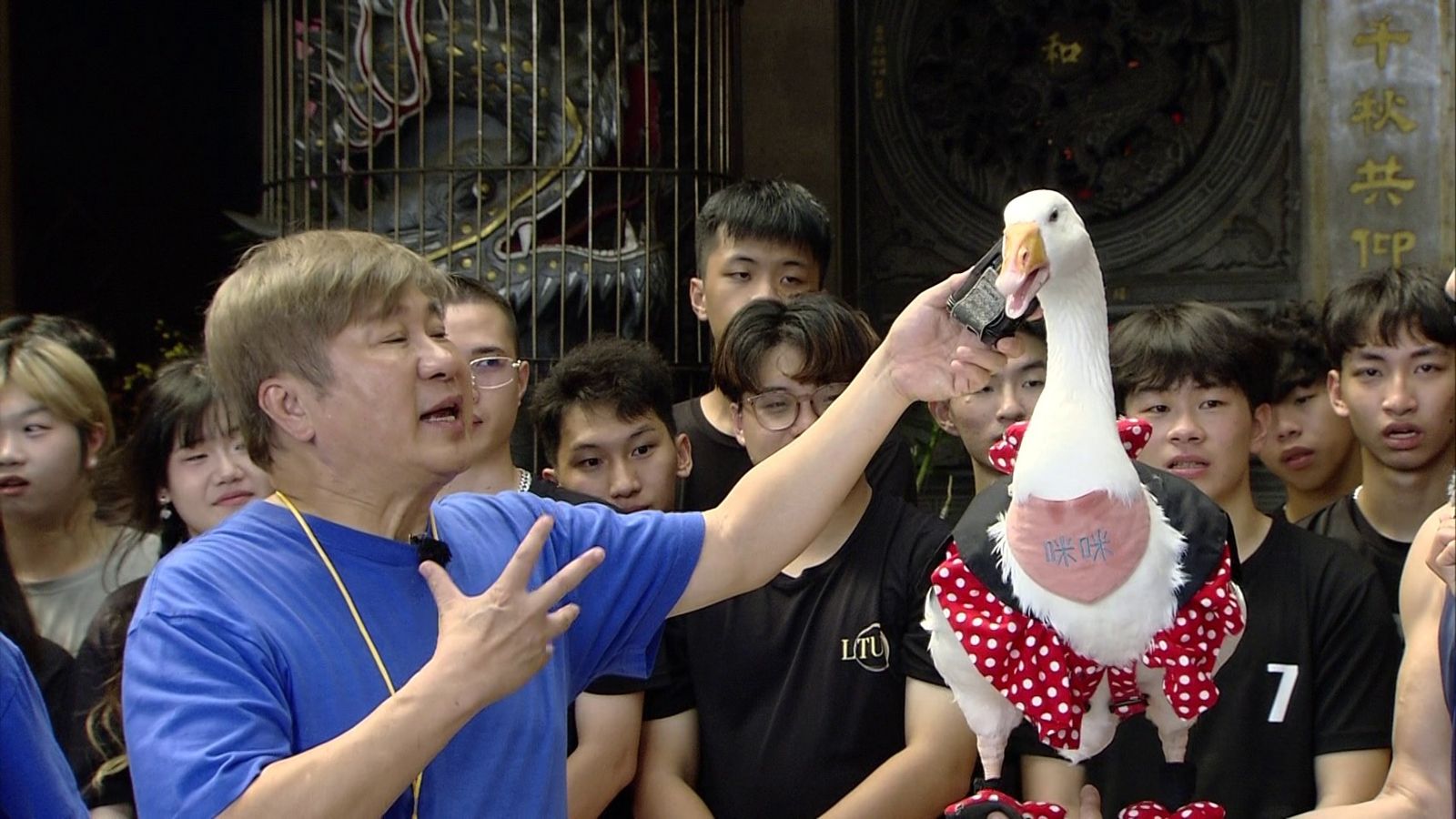 胡瓜錄影遭「通靈鵝」亂入!被問最喜歡誰 牠竟回應了