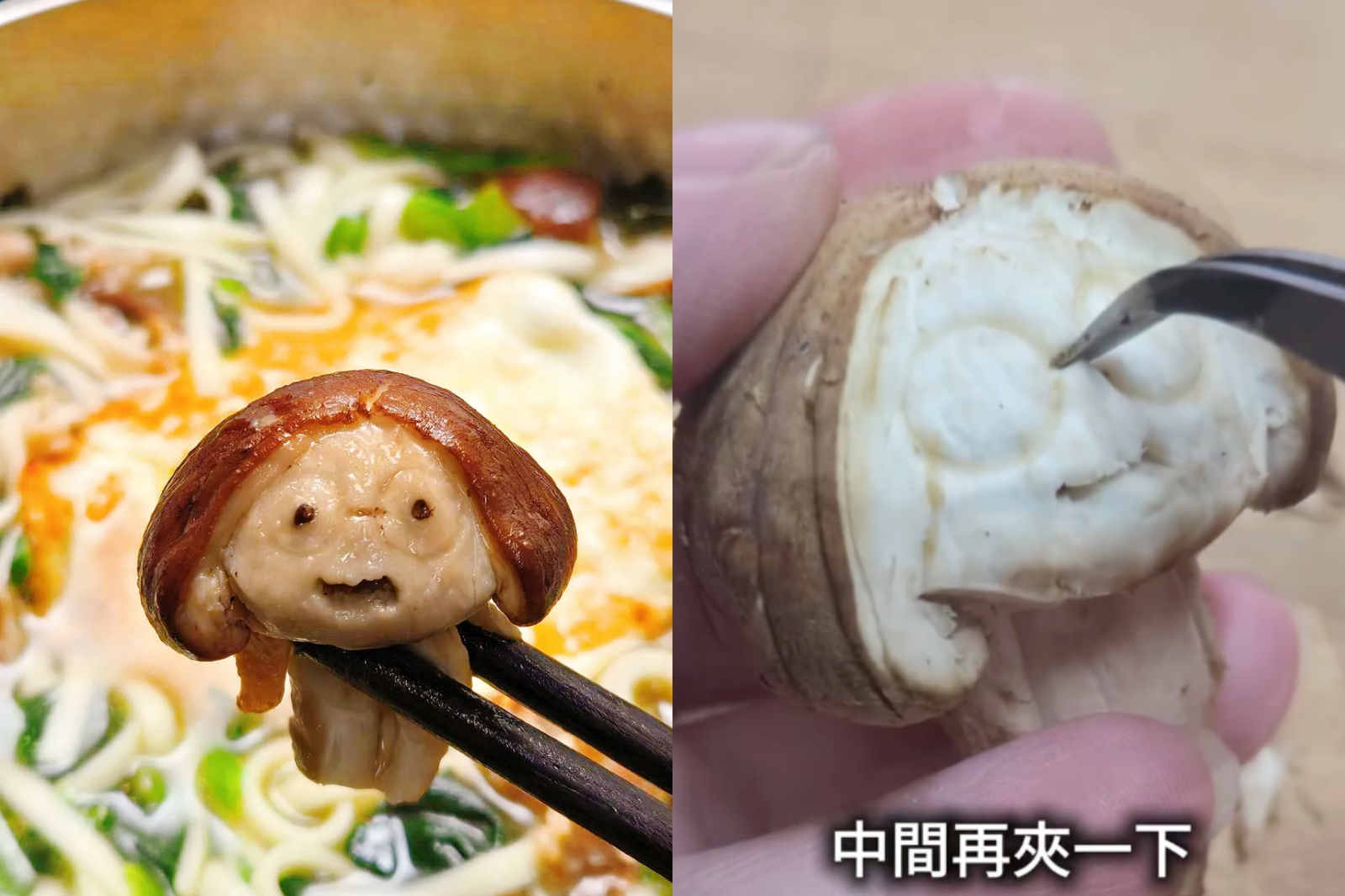 蔡英文辦活動引三百萬人朝聖!一看作品傻眼:什麼意思啊