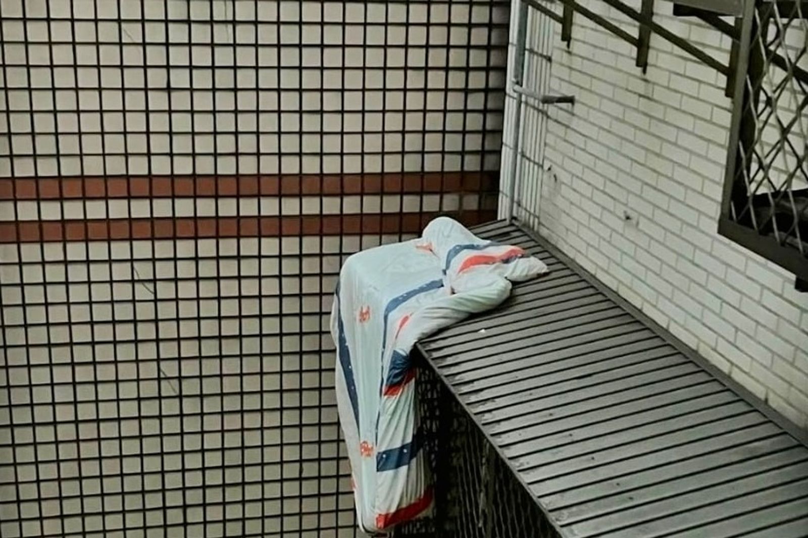 2年了！網紅棉被天天報平安吸10萬粉　主人終於現身
