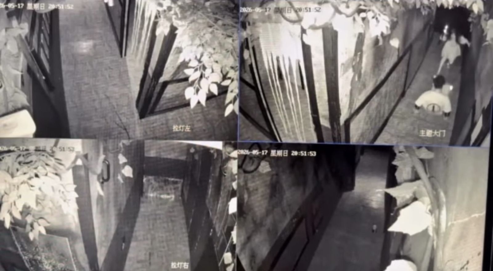 鬼屋藏身住宅區?北市14處密室逃脫違法 住戶揭孩童哭喊「媽媽有鬼」