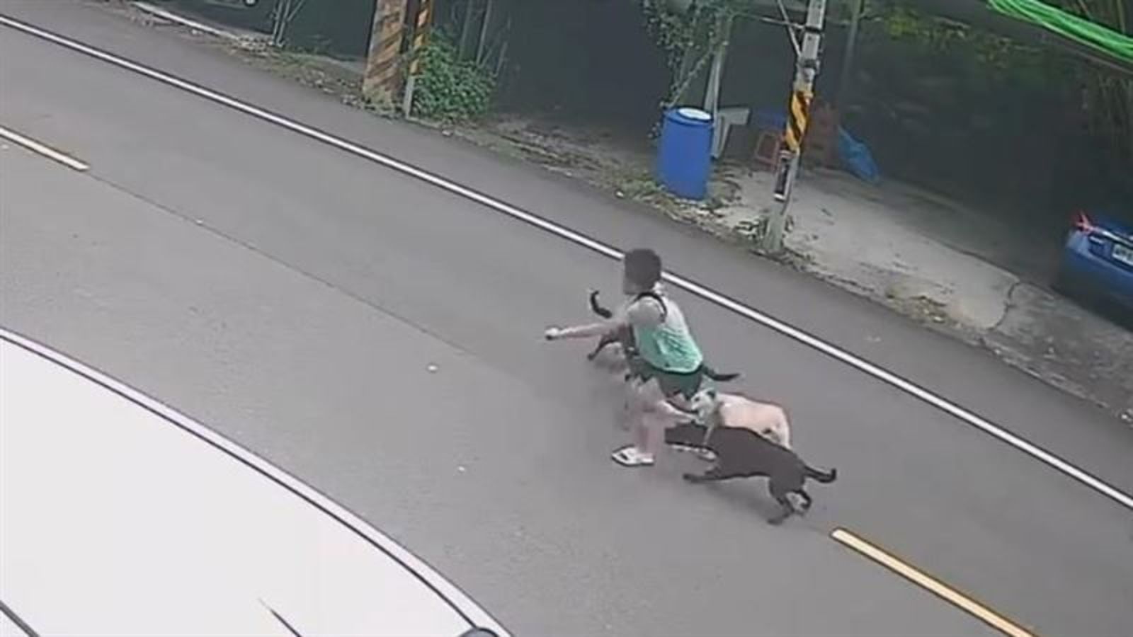 男童遭桃園4惡犬當街追咬「倒地翻滾狂喊救命」畫面曝 母痛哭:不是第一個受害者...動保處回應了