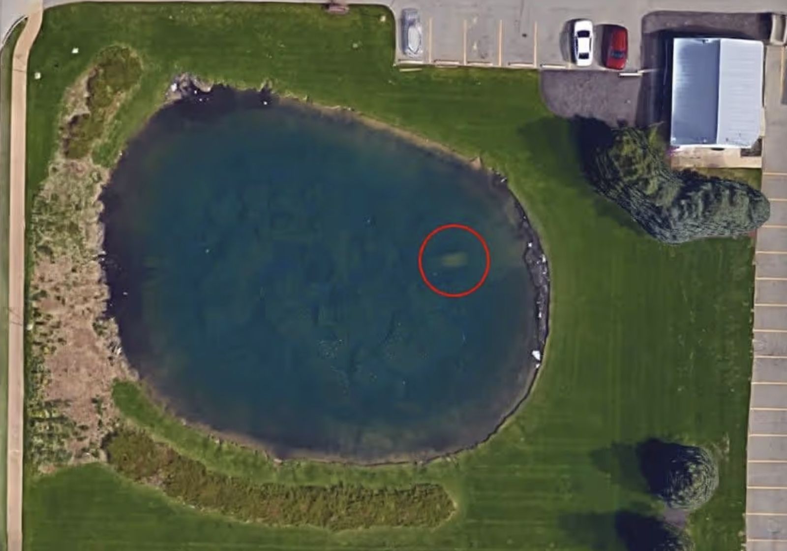 Google Earth意外「找到失蹤9年男」揭懸案　家屬終於見遺體嘆：多年來沒人注意