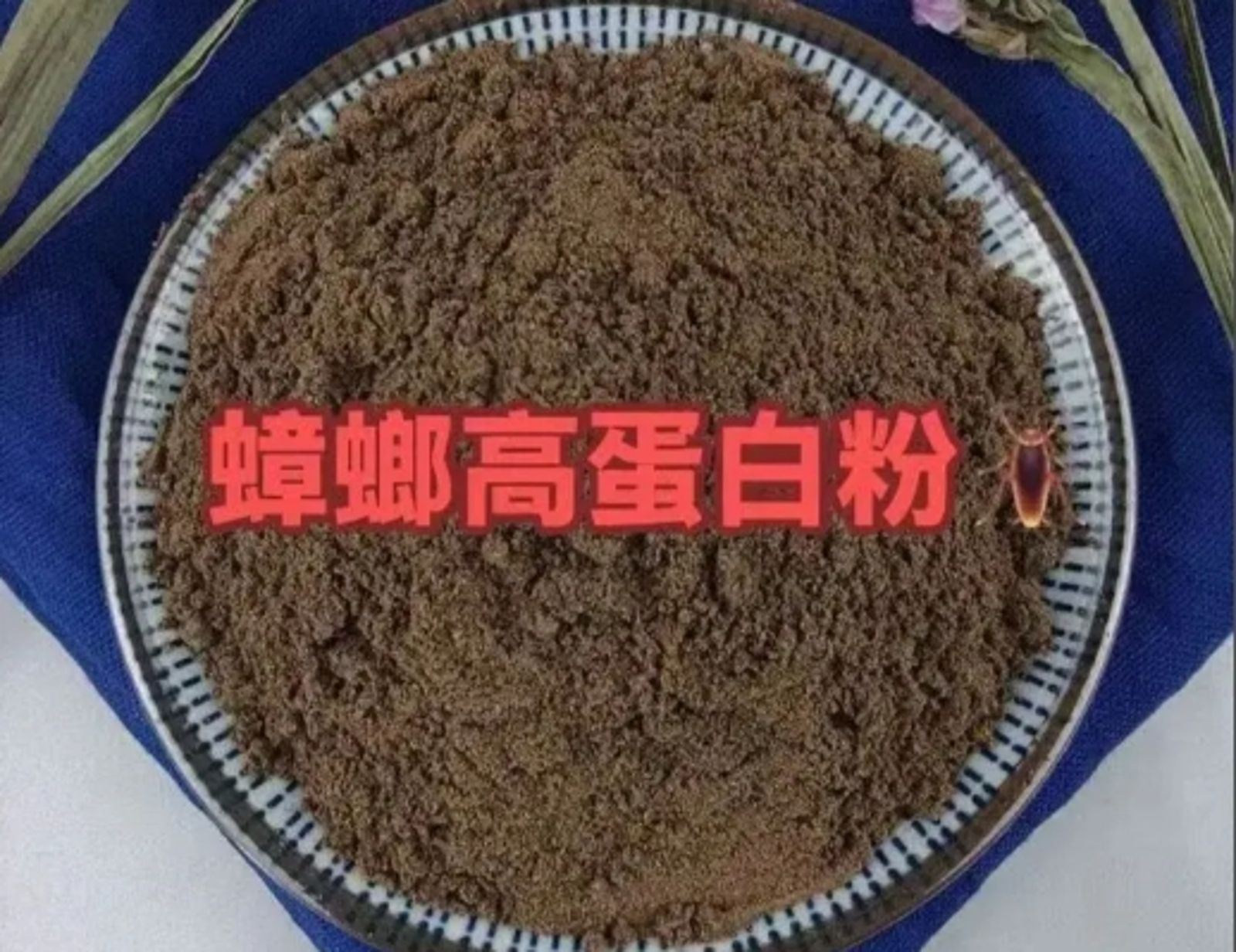 中國流行用蟑螂粉代替乳清蛋白粉。圖/百度