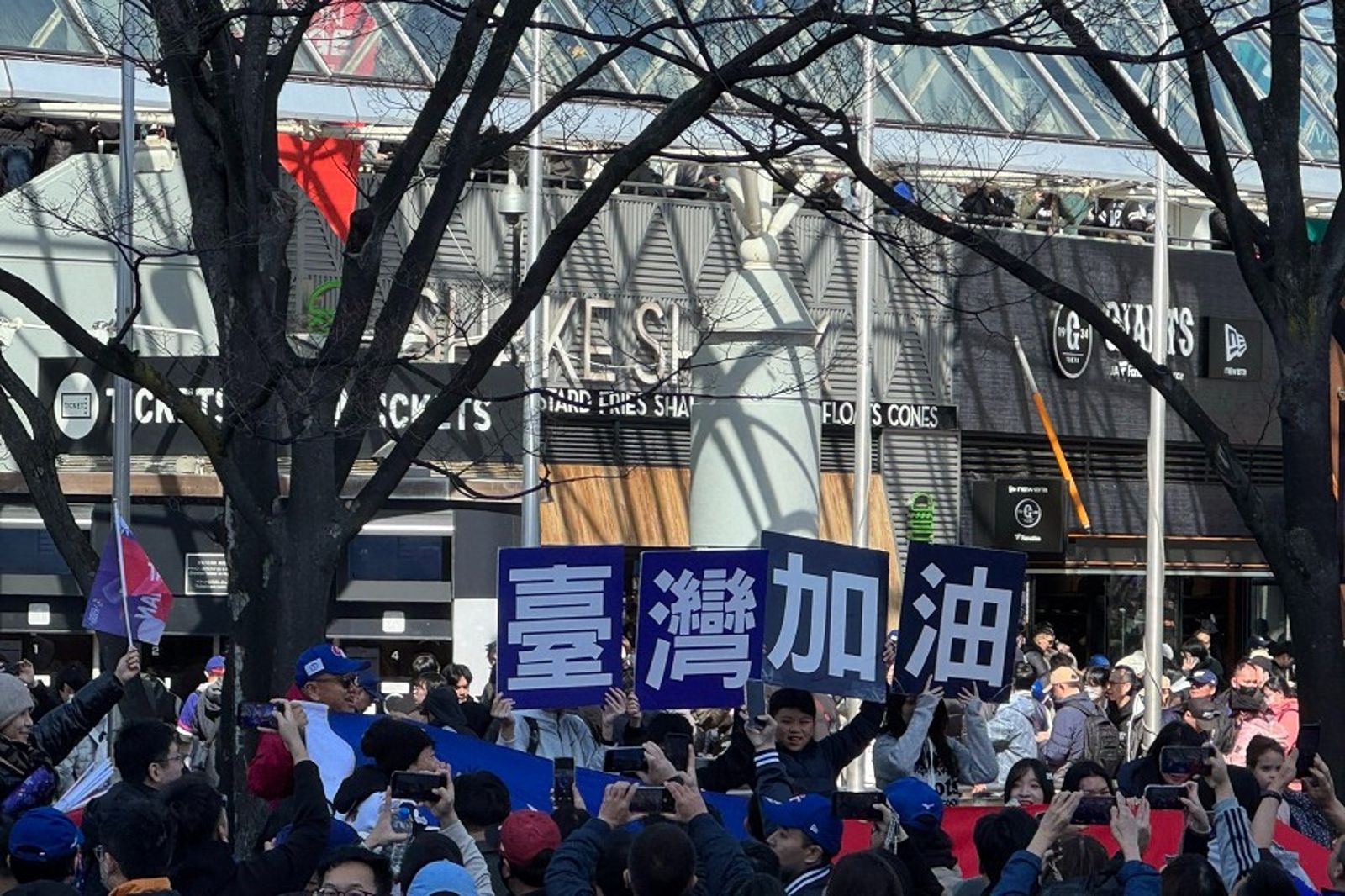 東京巨蛋真變台灣巨蛋！滿滿台人應援　對澳洲場次售罄