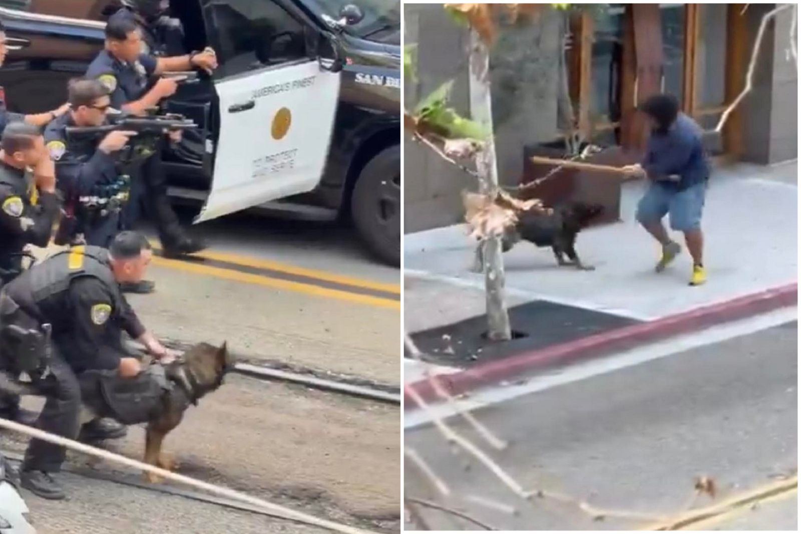 凶手持械打爆停車場員工頭　警犬慘遭重擊仍勇猛逮人