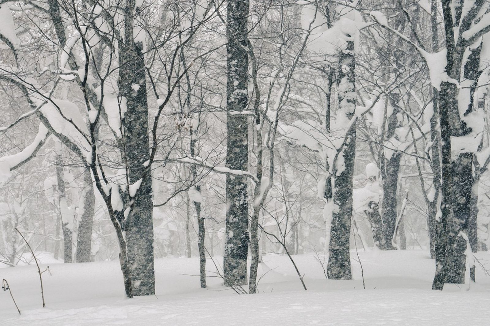 美國致命「冬季風暴」！釀70死、33.2萬戶停電　鄭明典：幾乎全境0度下