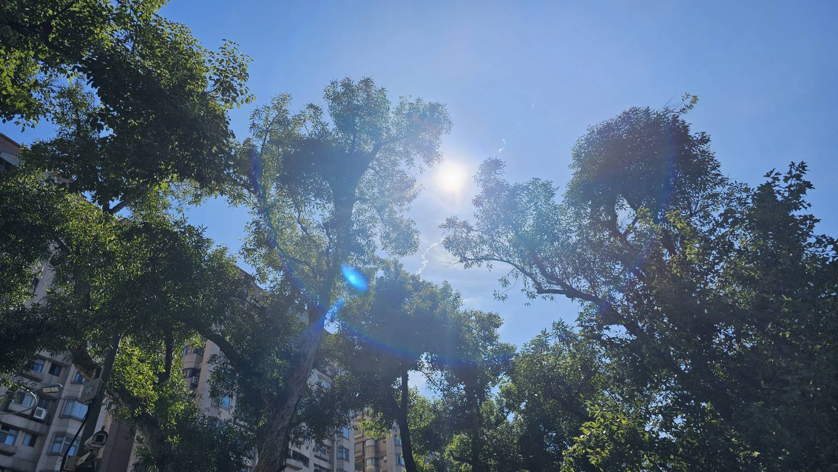 今「立冬」出太陽!諺語「立冬暖冬天冷」 氣象署搬數據:有一句可信