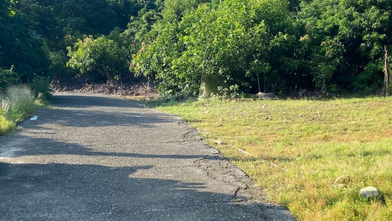 高雄建商「留遺書」載女兒外出　「全身刀傷」1死1重傷