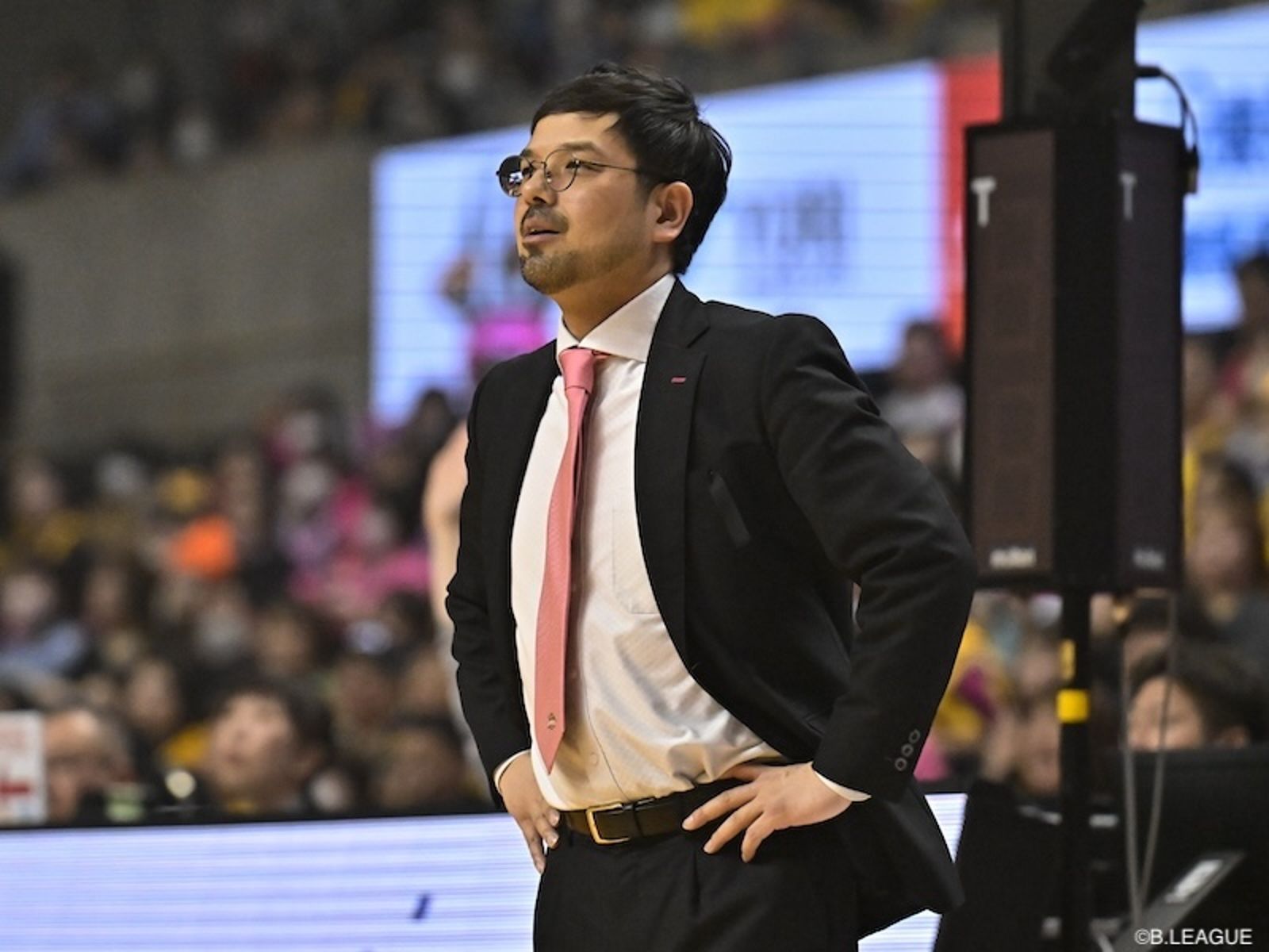 快訊／台灣女籃新主帥出爐？日媒提前爆料　曾任B聯盟秋田主帥長達6年